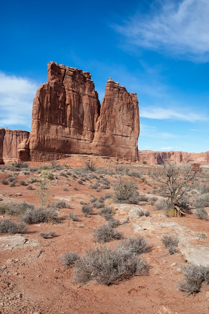 Landscape of the unique sandstone rock formation in the desert American Nature Background