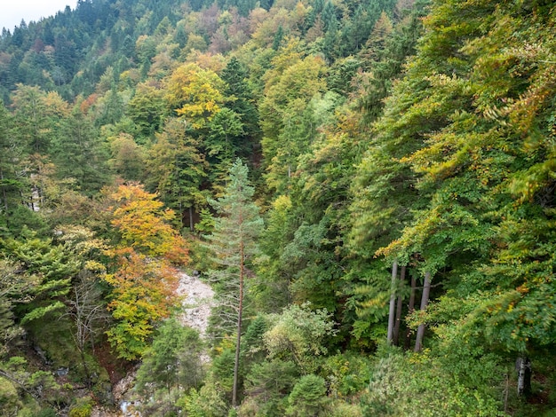 Landscape view in Bavaria Germany