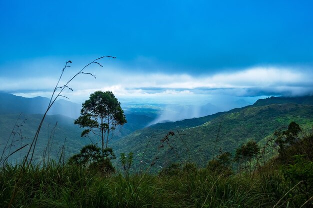 Landscape view on heavy rain in mountain area