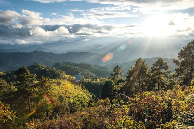 Landscape view on high green hill