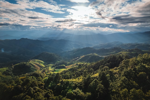 Landscape view on high green hill