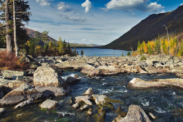 The landscape vith view of mountain lake Mountain river flows into a lake Altai Mountains Russia