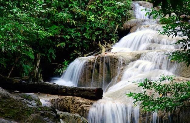 Landscape waterfall in a forest