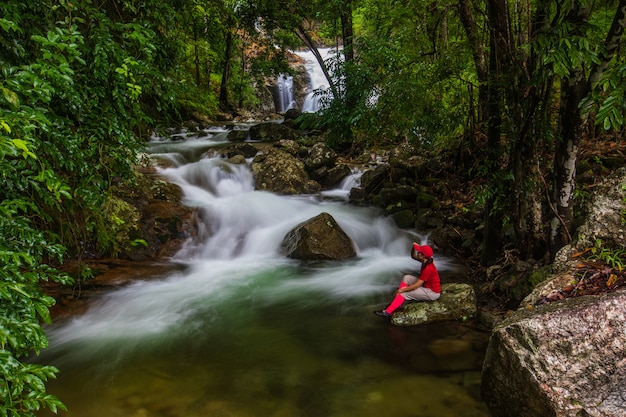 Landscape of a waterfall in a forest