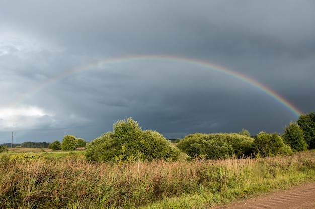 Landscape Weather specific Colorful rainbow in dramatic sky after the rain