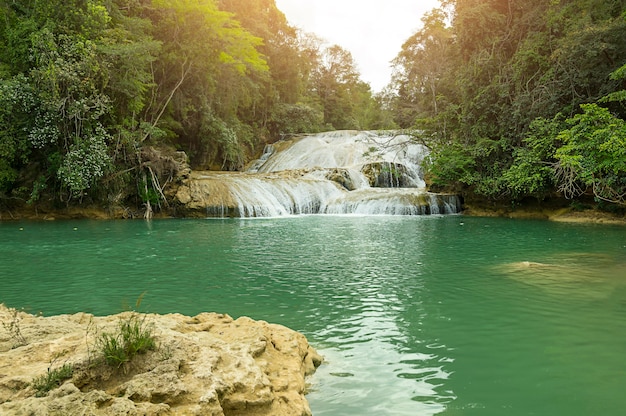 Landscape with amazing waterfall Agua Azul, Chiapas, Palenque, Mexico. High quality photo