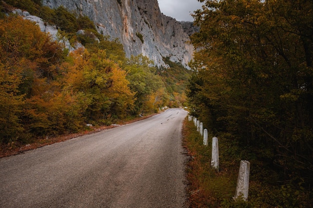 Landscape with beautiful empty mountain road high rocks trees and cloudy sky