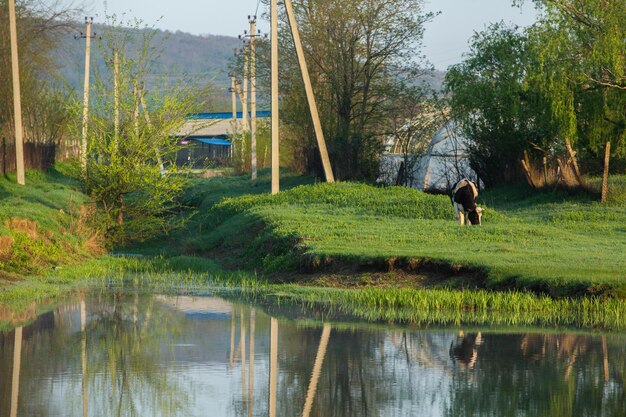 Landscape with beautiful nature in the village in the Republic of Moldova Country life