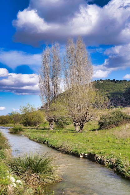 landscape with beautiful river