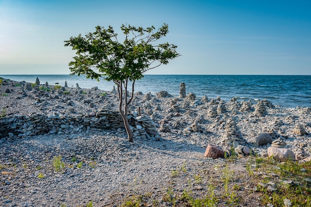 Landscape with beautiful white stone piles by the sea these objects were built by travelers.