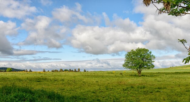 Landscape with a blue sky and clouds