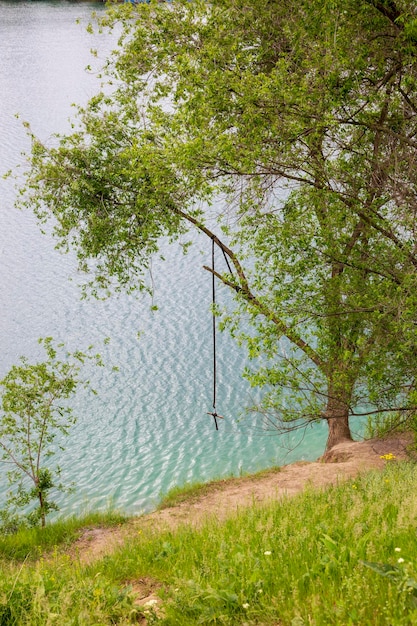 Landscape with bungee on a tree by the lake