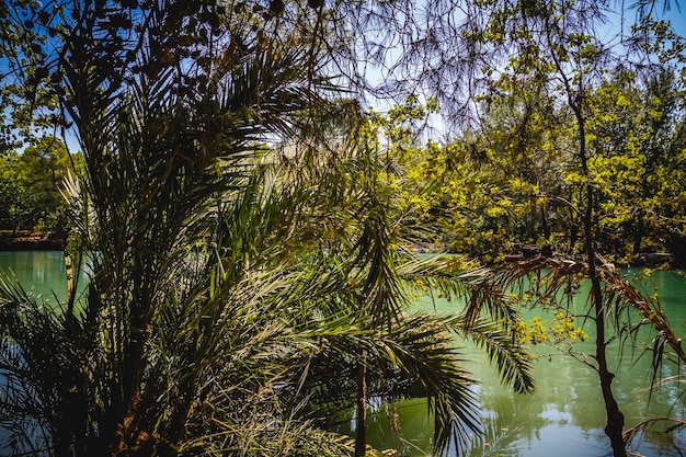 landscape with forests and natural lake in Valencia, Spain