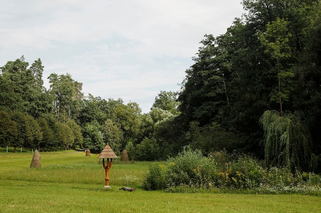 a landscape with a green meadow and a forest in summer