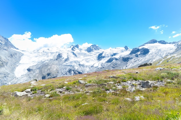 Landscape with green meadows and snowcapped peaks