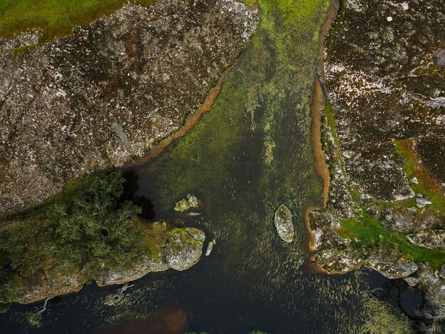 Landscape with lagoon in Dehesa de la Luz Extremadura Spain