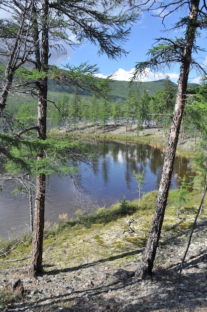 Landscape with a lake and mountains along the banks