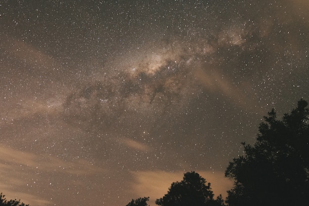 Landscape with the milky way in the sky in the dark