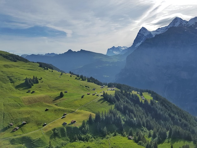 Landscape with mountain range in background