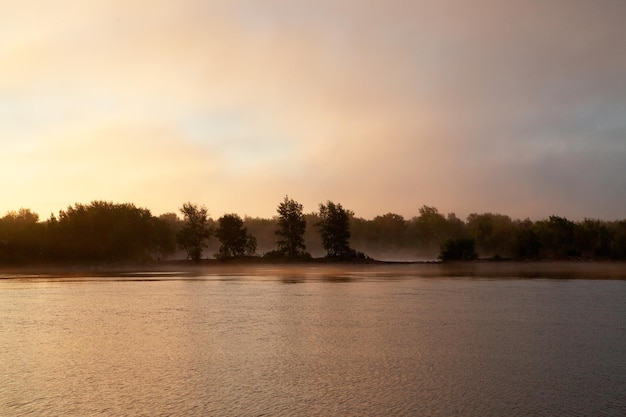 Landscape with river and fog River and trees on a foggy summer morning