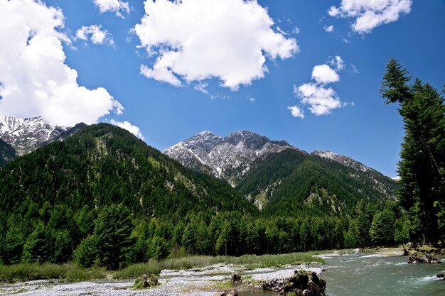 Landscape with river and green mountains on a sunny day