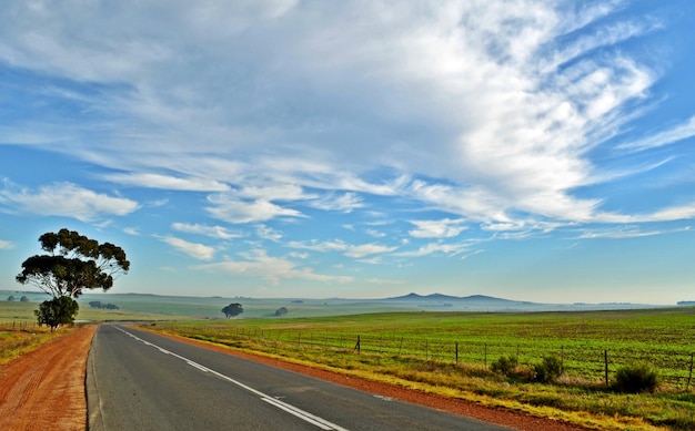 Landscape with a rural country road and fields