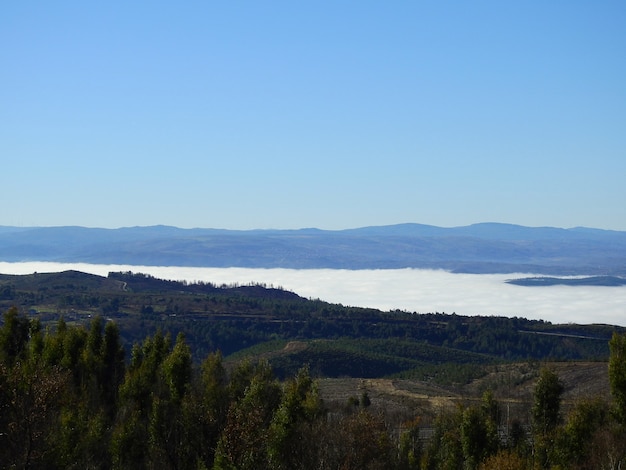 Landscape with a sea of fog