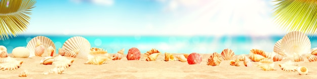 Landscape with seashells on tropical beach - summer holiday.