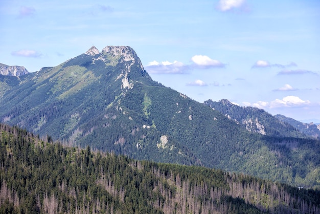 landscape with trees and clouds in the mountains