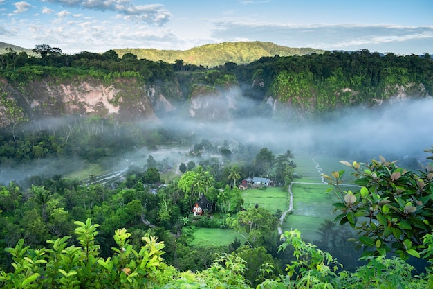 landscape with trees, mountain and clouds