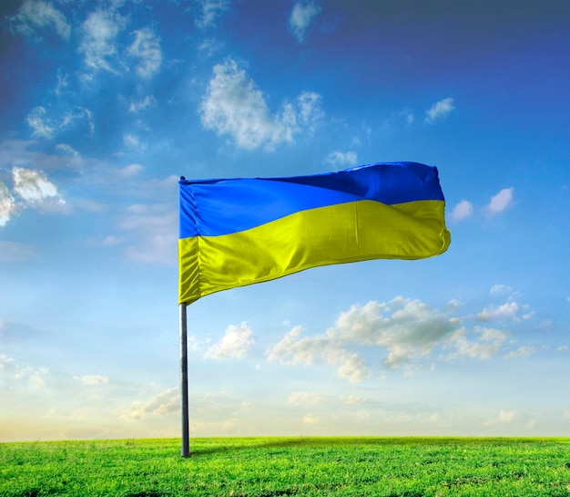 Landscape with ukrainian flag in ukrainian field