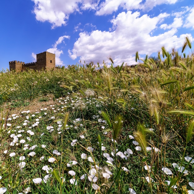 Landscape with wild flowers of different colors, spikes and trees. Medieval castle on the horizon, blue sky with white clouds. Pedraza, Segovia. spain.