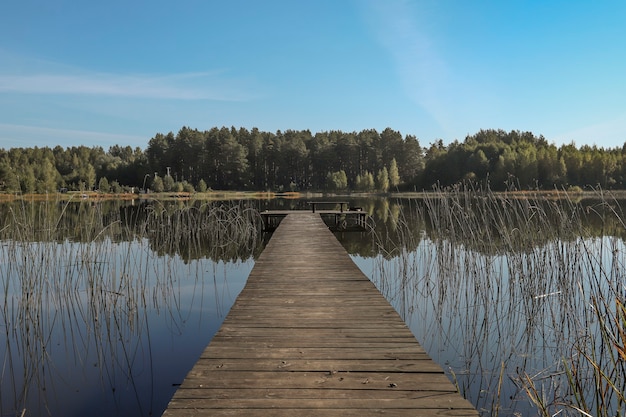 Landscape with wooden long jetty or pier in perspective lake forest on horizon and clear sky in summer