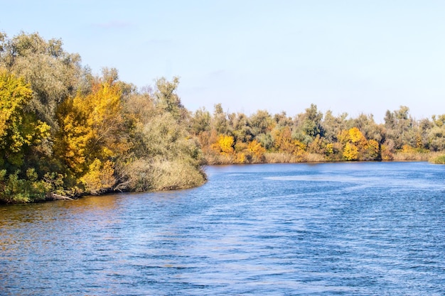 Landscape yellow trees on the banks of a large river