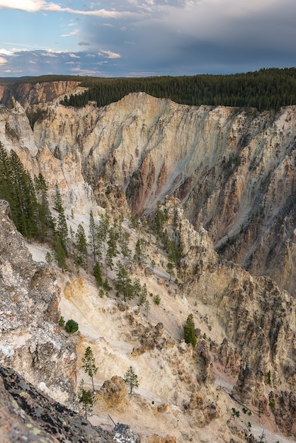 Landscape of Yellowstone National Park