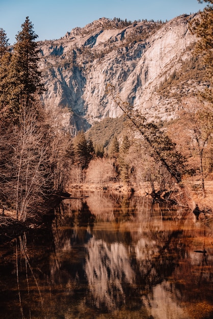 Landscape of Yosemite National Park