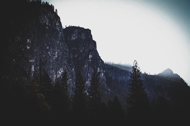 Landscape of Yosemite natural park