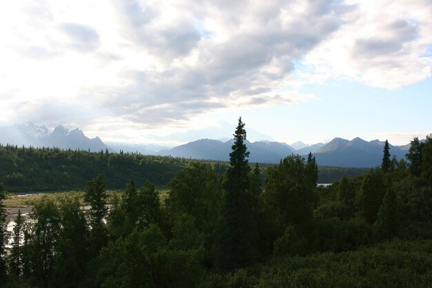 Landscapenature and glaciers in Alaska