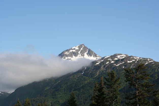 Landscapenature and glaciers in Alaska