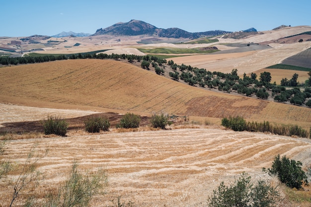 Landscapes of Andalusia, Spain