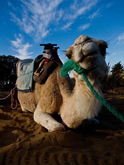 Landscapes and cities Morocco