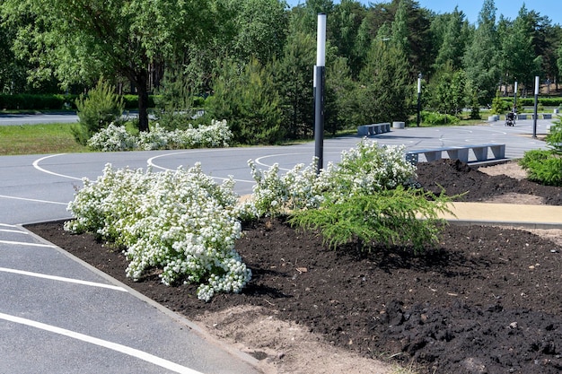 Landscaping of the city park improvement of the city