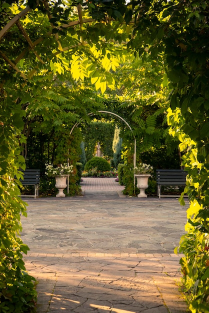 Landscaping of the park, green arches from plants. Trees, bushes, flower beds.