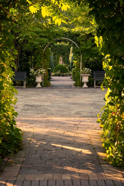 Landscaping of the park green arches from plants Trees bushes flower beds