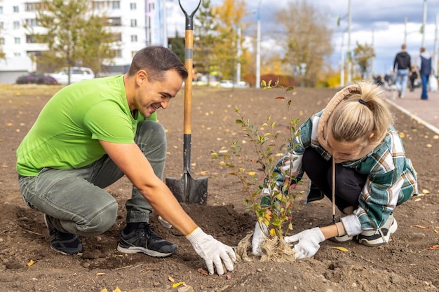 Landscaping of the square in the city Volunteers help plant trees