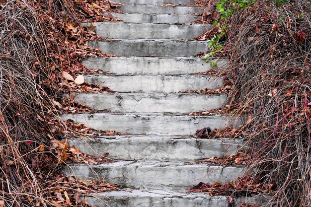 Landscaping staircase steps