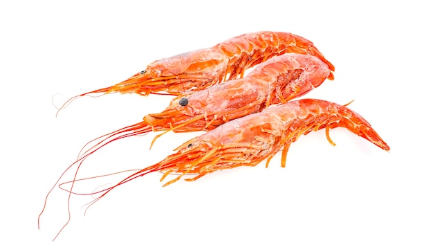 Langoustines argentine frozen isolated.