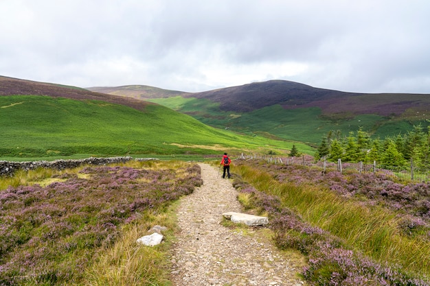 Lanscape of Wicklow way in a cloudy day with an excursionist girl.