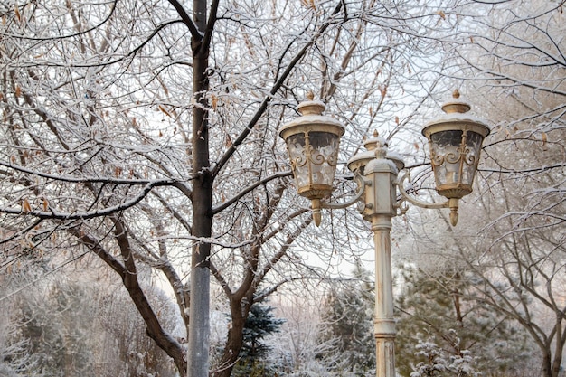 Lantern in retro style in a winter park against the background of tree branches