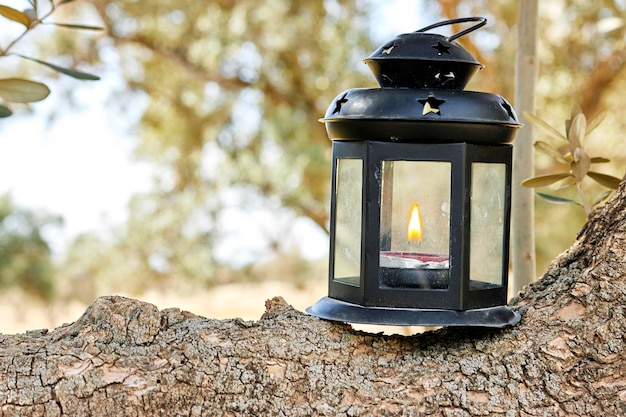 lantern on tree trunk for the Muslim feast of the holy month of Ramadan Kareem or christmas